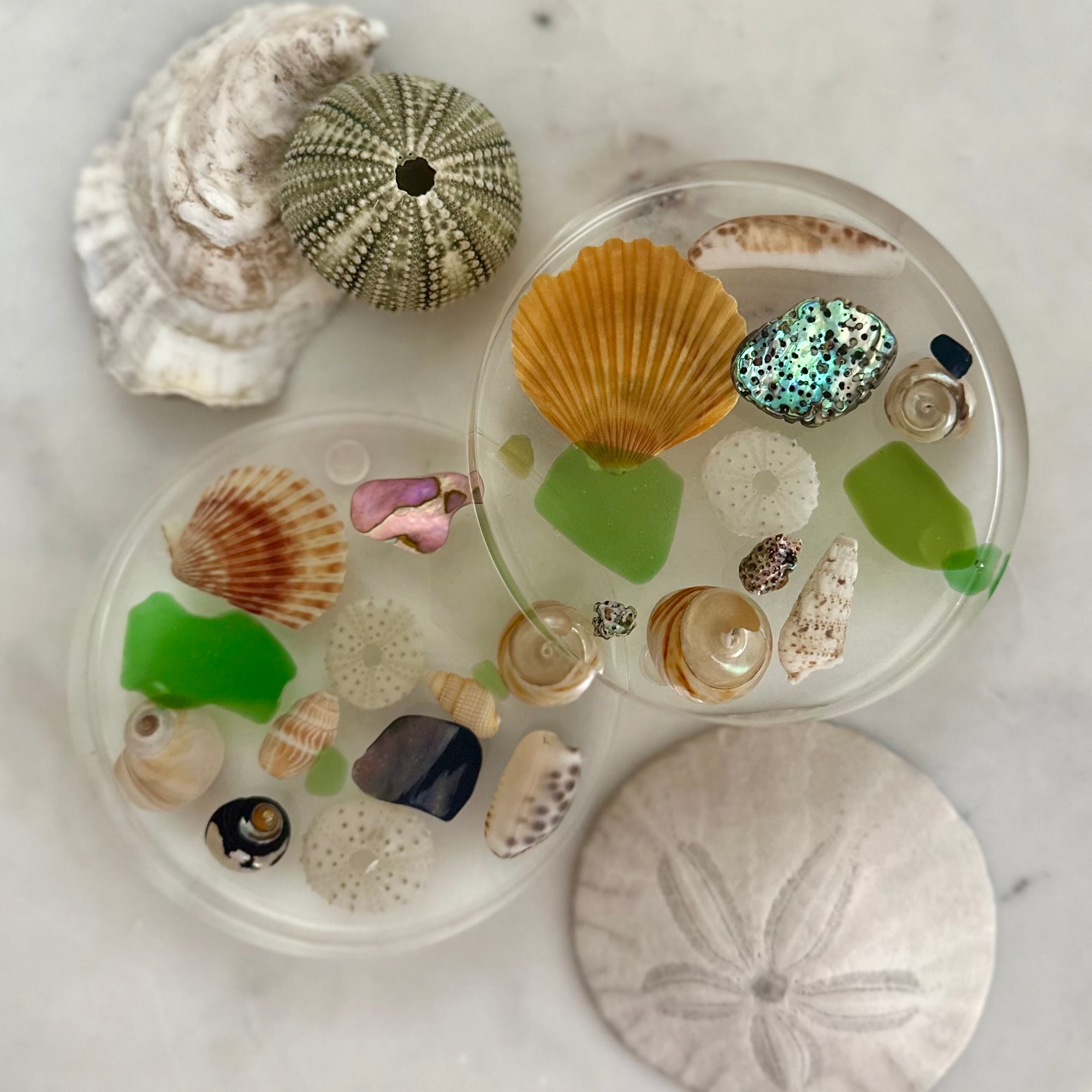 handmade coastal resin coasters with real seashells