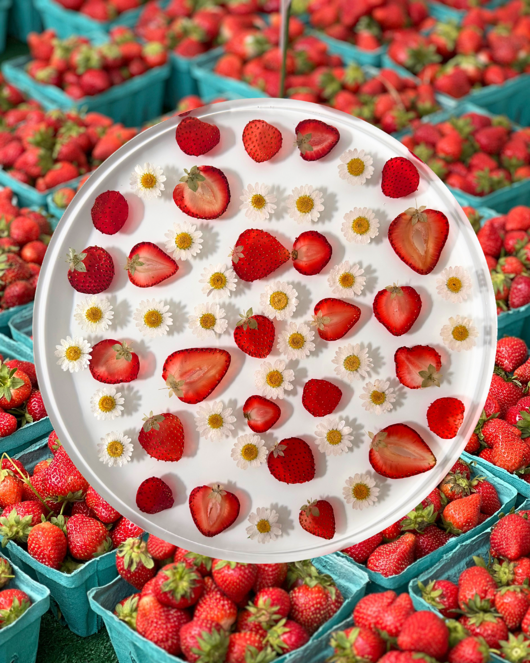 Strawberry Shortcake