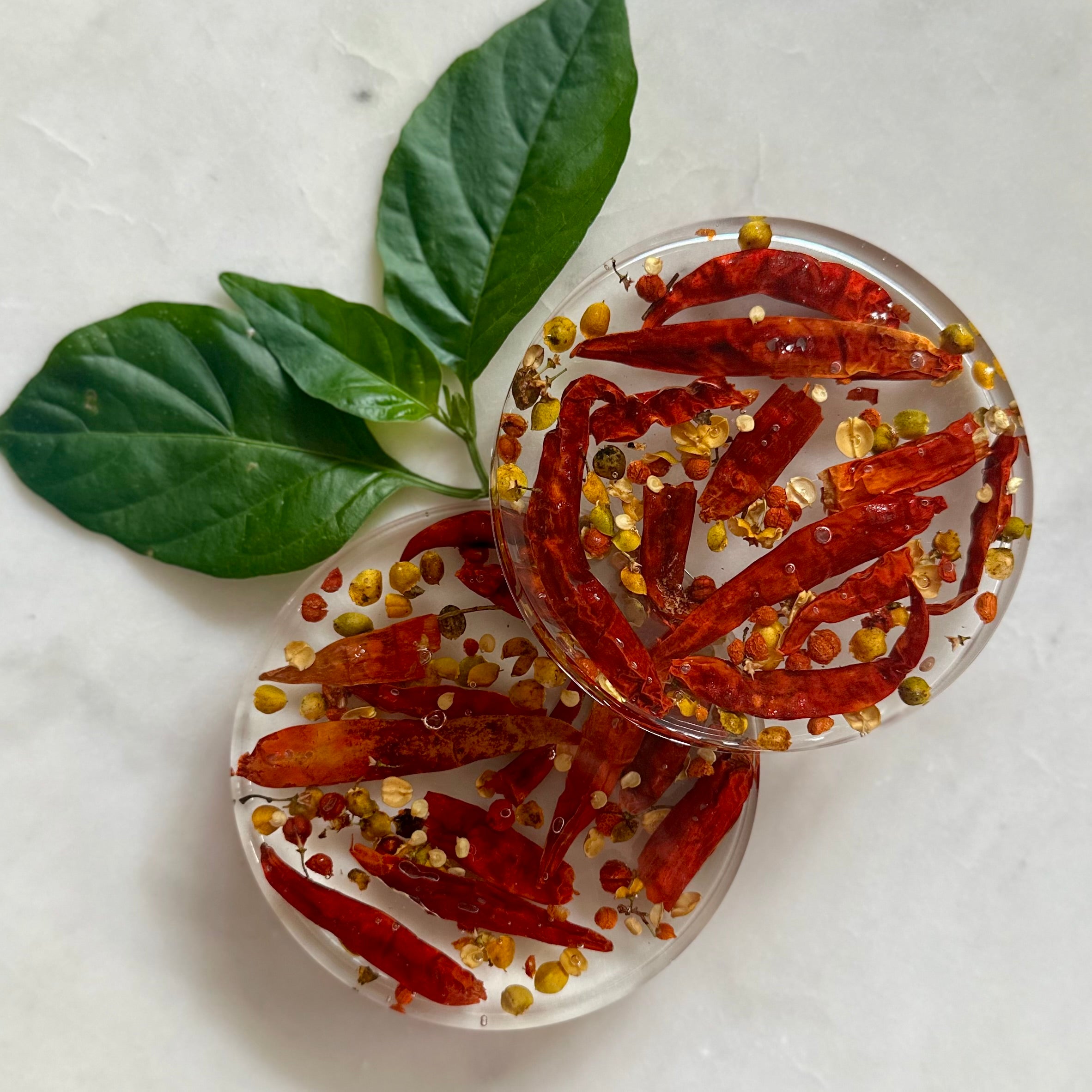Spicy Chili Pepper Resin Coasters