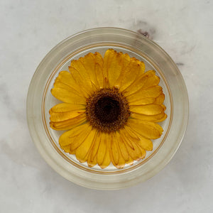 Round Resin Tray with Real Gerbera Daisy