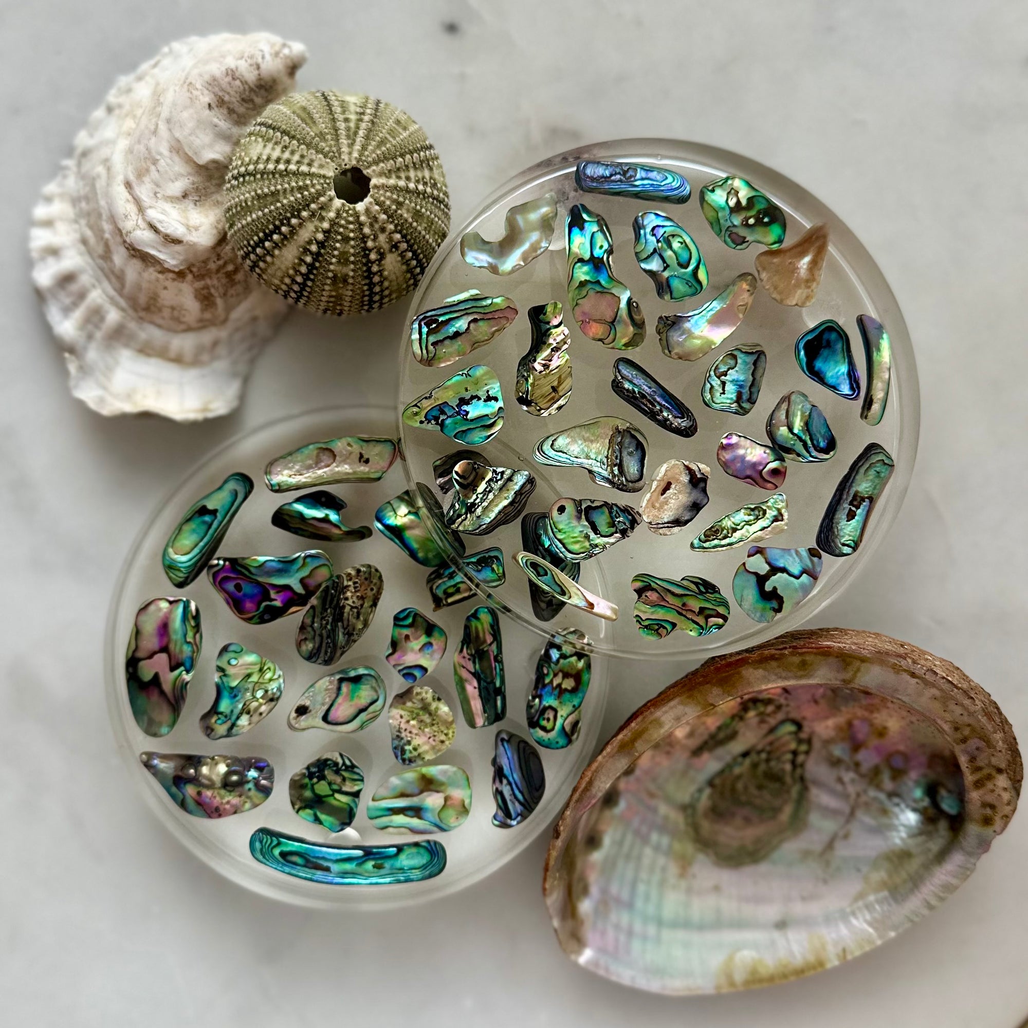Handcrafted Abalone Shell Resin Coasters